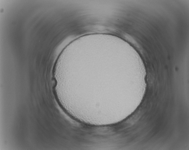 X0000077281479200611101305