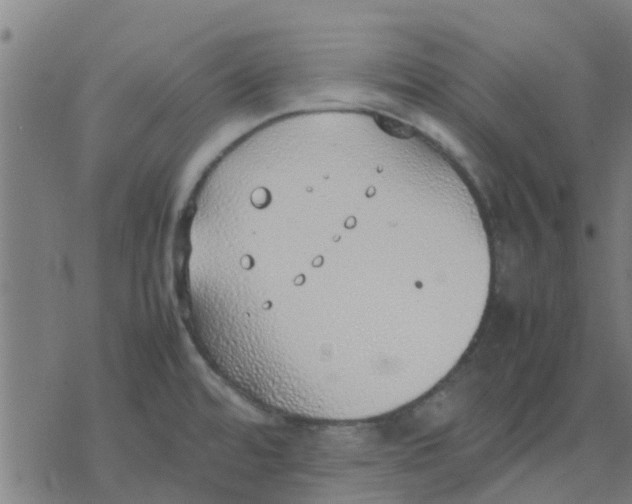 X0000077281480200611101305