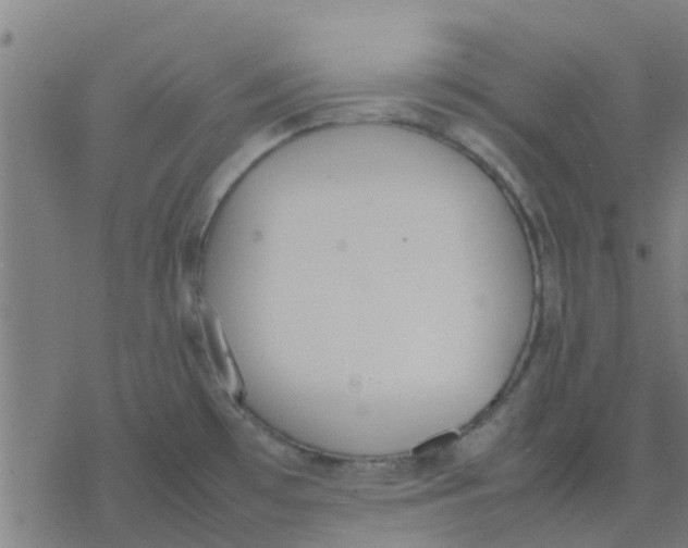 X0000077281481200611101305