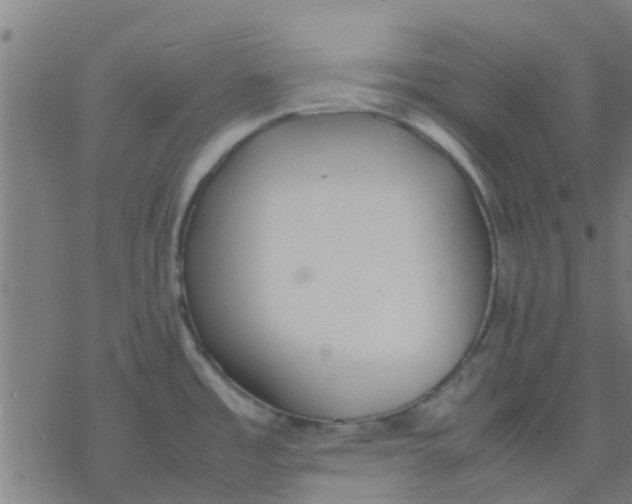 X0000077281485200611101305