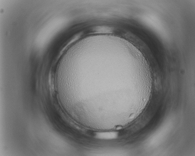 X0000077281487200611101305