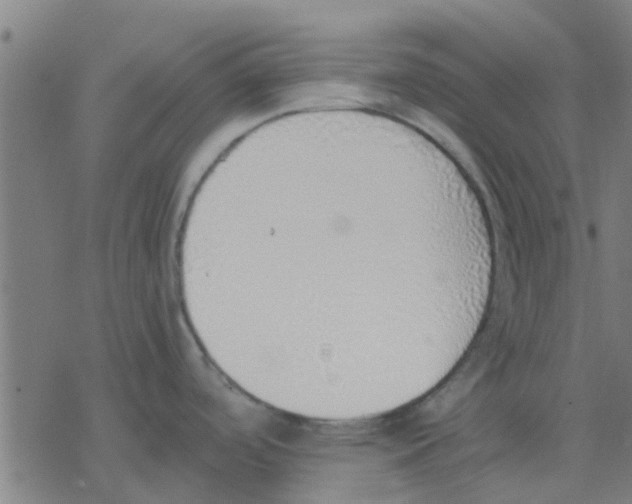 X0000077281488200611101305