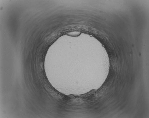 X0000077281489200611101304