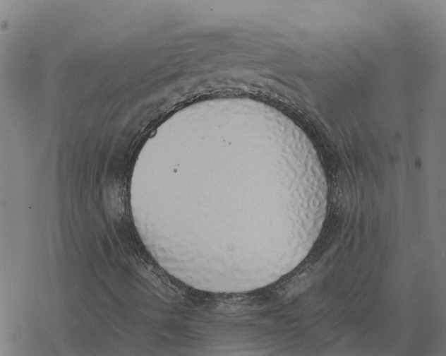 X0000077281490200611101304