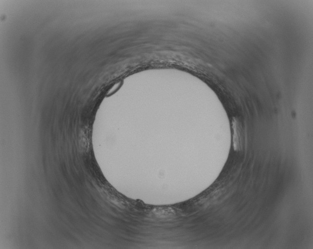 X0000077281491200611101304