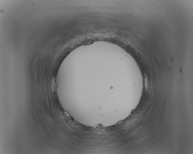 X0000077281492200611101304