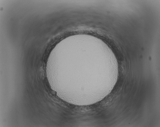 X0000077281493200611101304