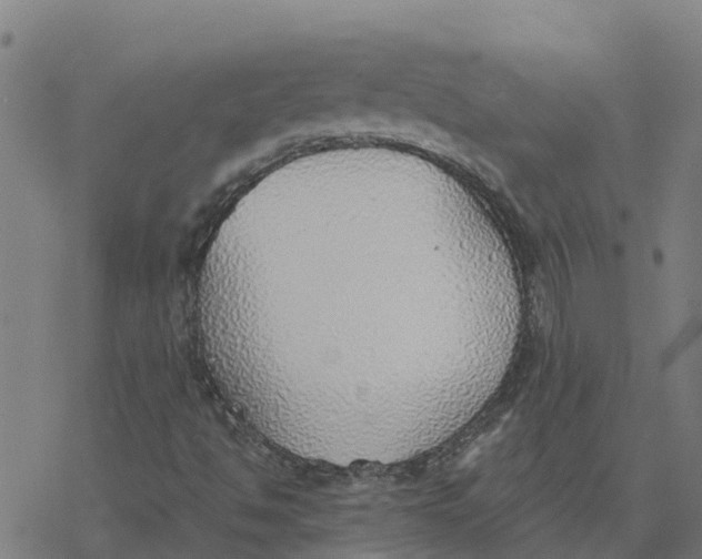 X0000077281494200611101304