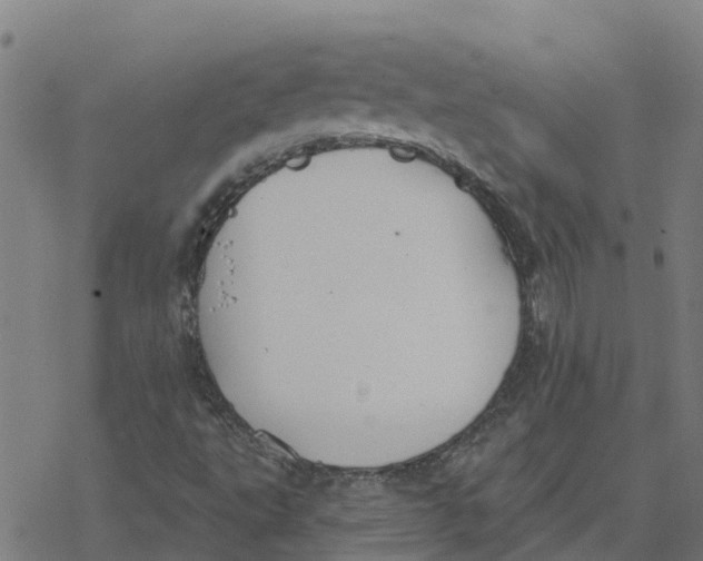 X0000077281495200611101304