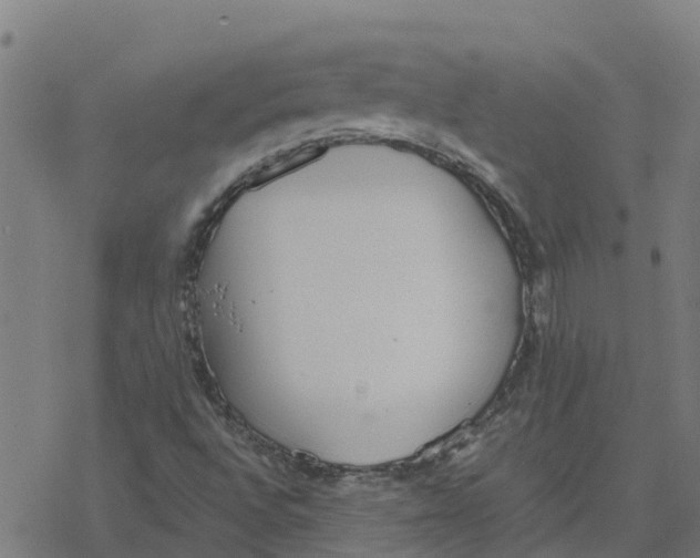 X0000077281496200611101304