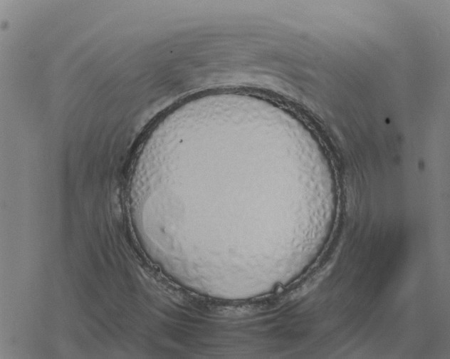 X0000077281497200611101304