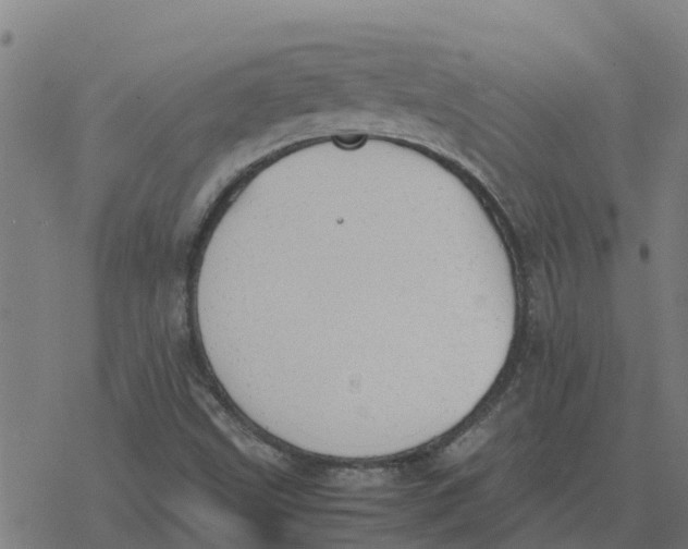 X0000077281499200611101304