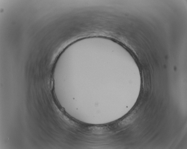 X0000077281500200611101304