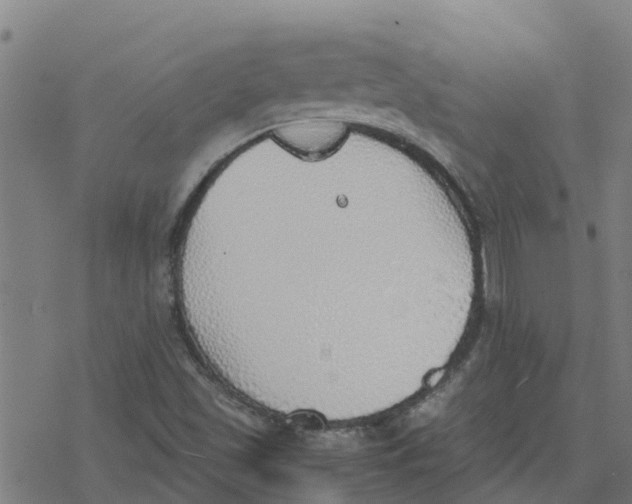 X0000077281501200611101304