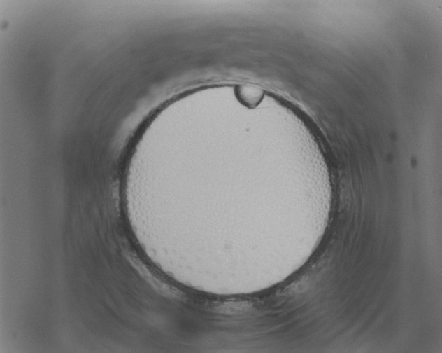 X0000077281503200611101305