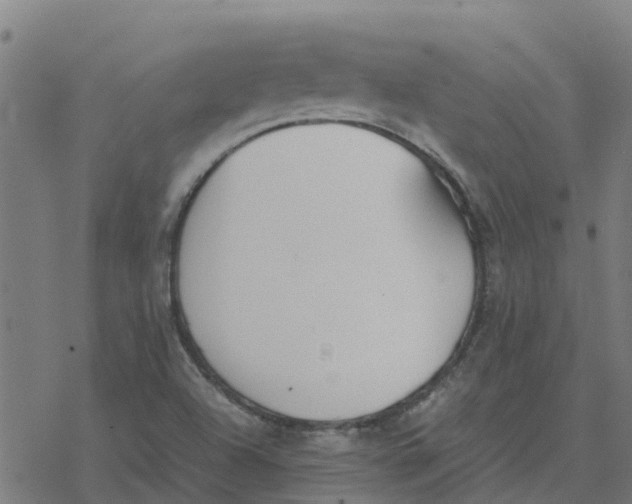 X0000077281504200611101305