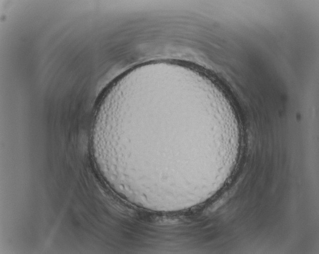 X0000077281505200611101305