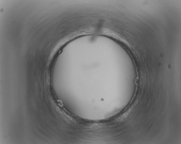 X0000077281506200611101305