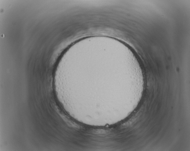 X0000077281507200611101305