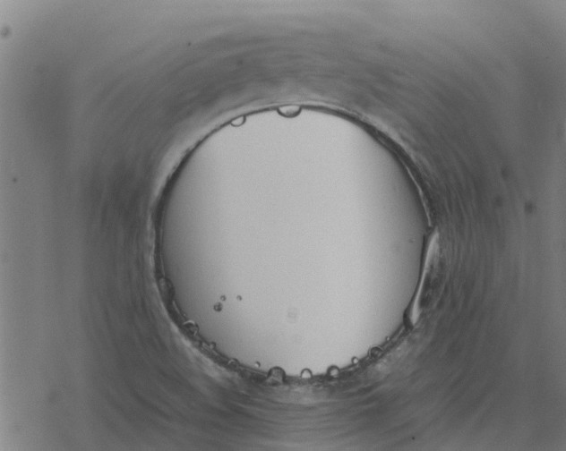 X0000077281508200611101305