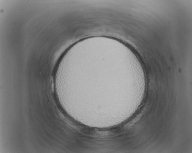 X0000077281509200611101305