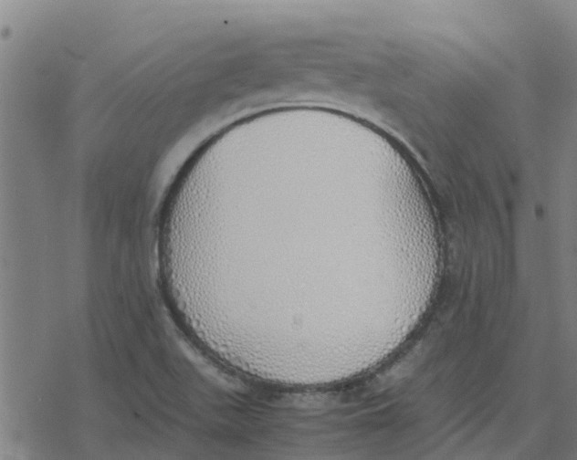 X0000077281511200611101305