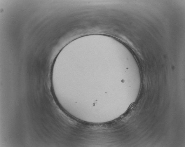 X0000077281512200611101305