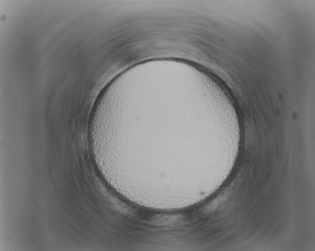 X0000077281513200611101305