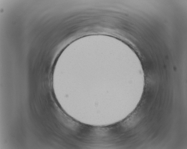 X0000077281514200611101305