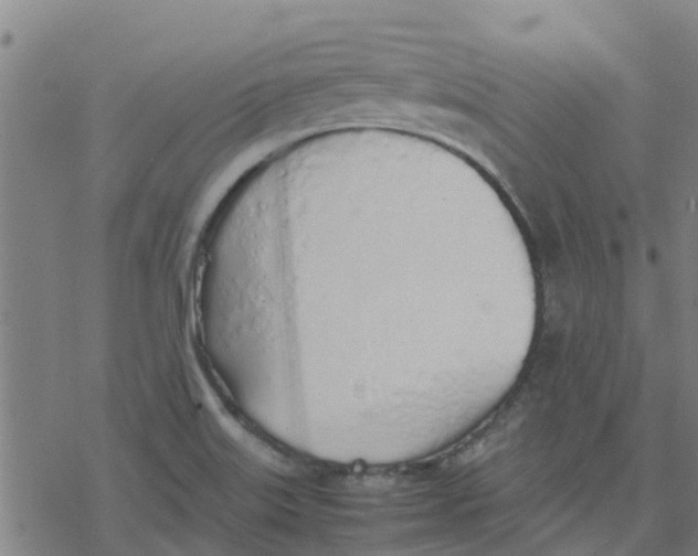 X0000077281515200611101305