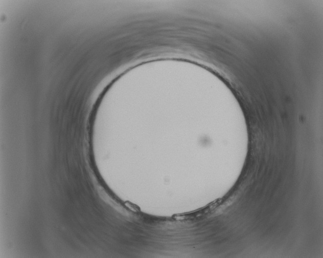 X0000077281518200611101305