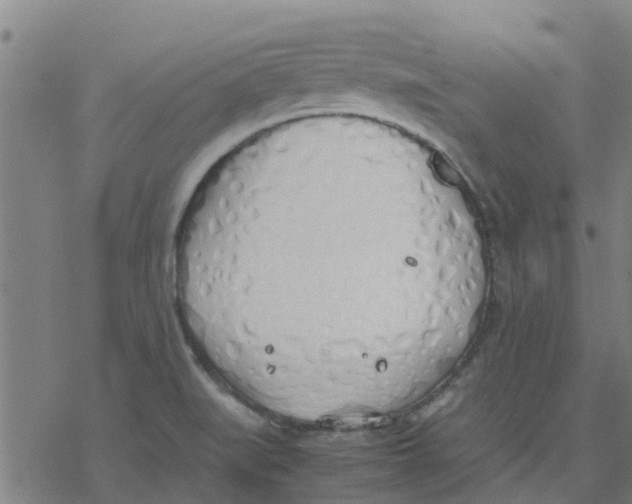 X0000077281519200611101305