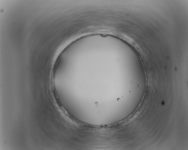 X0000077281520200611101305