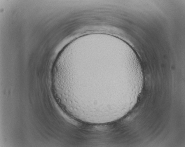 X0000077281523200611101305