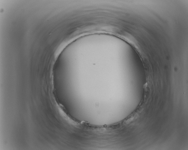 X0000077281524200611101305