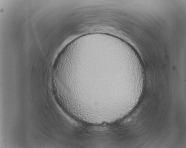 X0000077281525200611101305