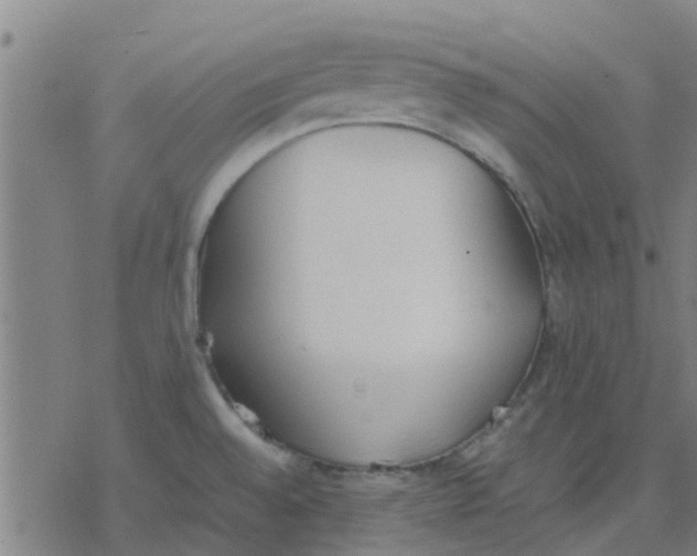 X0000077281528200611101305