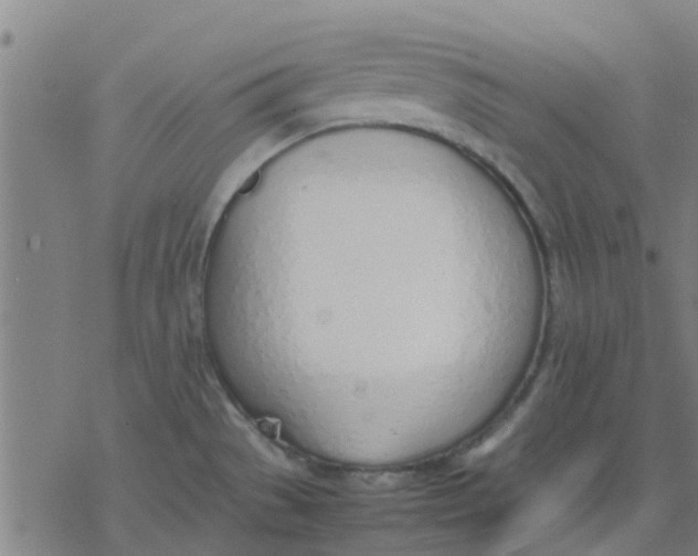 X0000077281529200611101305