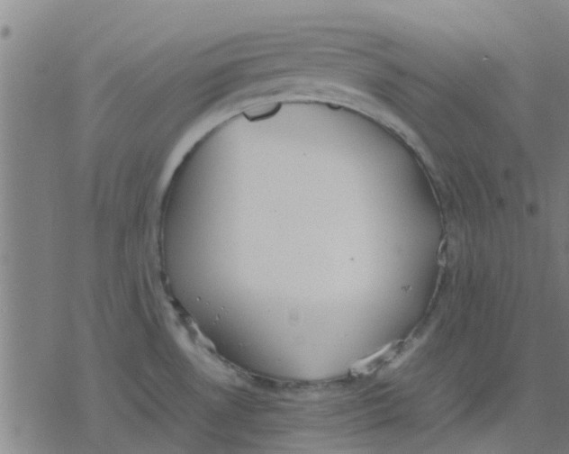 X0000077281530200611101305