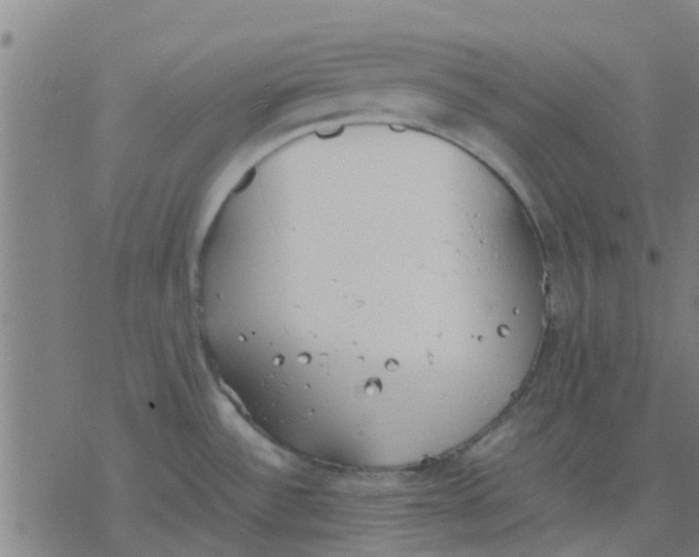 X0000077281532200611101305