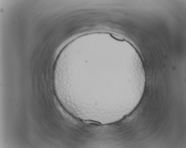 X0000077281534200611101305