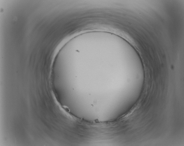 X0000077281536200611101305