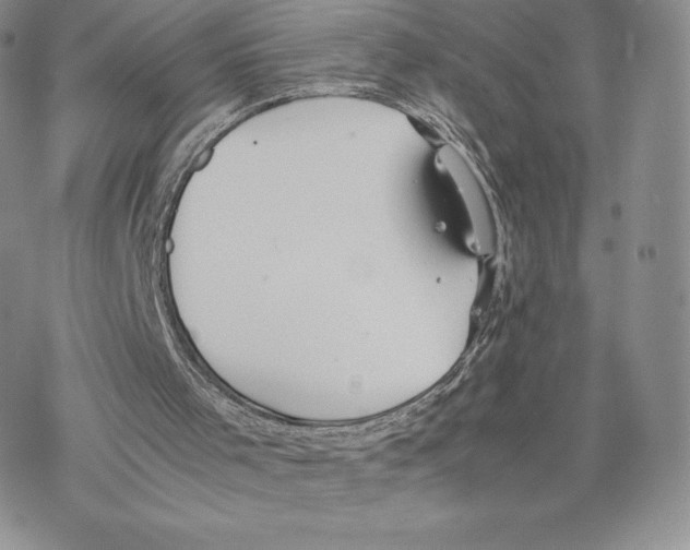 X0000077280001200611171614