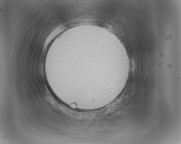 X0000077280004200611171614