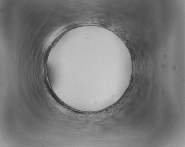 X0000077280005200611171614