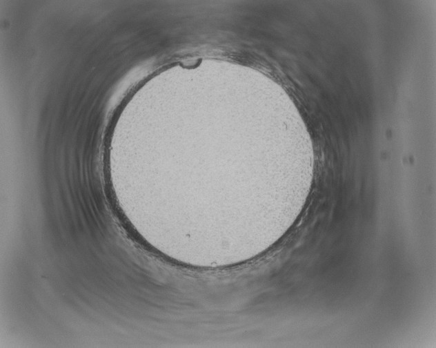 X0000077280006200611171614