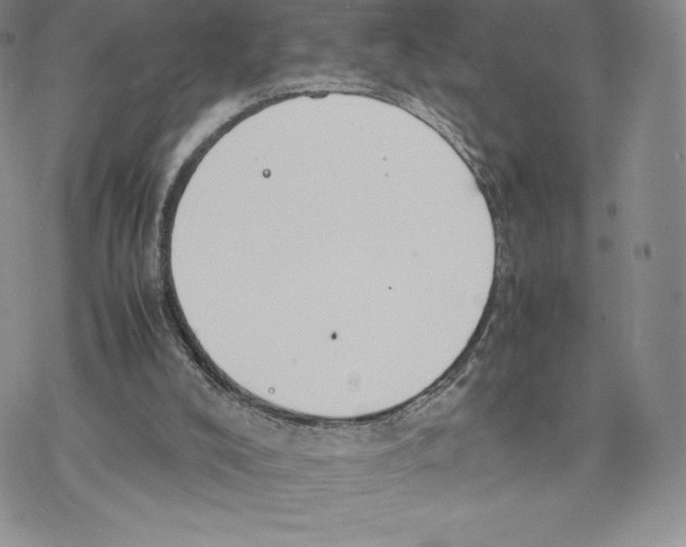 X0000077280008200611171614