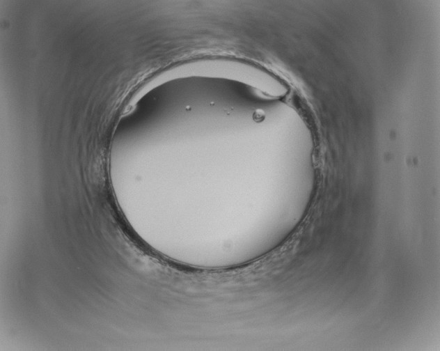 X0000077280009200611171614