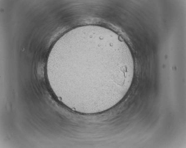 X0000077280010200611171614