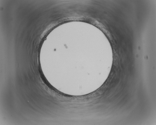 X0000077280011200611171614